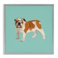 thumbnail image 1 of Stupell Industries Eclectic Bulldog Wearing Tiara Gray Framed Giclee Art, 24 x 24, by Amelia Noyes, 1 of 8