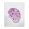 thumbnail image 1 of Stupell Industries Eclectic Canvas Art, 16 x 20, by Ziwei Li, 1 of 8