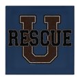 thumbnail image 1 of Stupell Industries Eclectic Canvas Art, 17 x 17, by Spirit Animals/Life Is High, 1 of 8