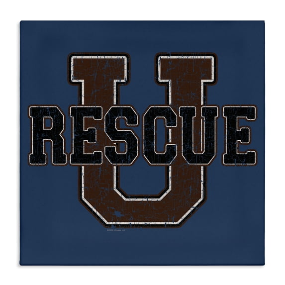 Stupell Industries Eclectic Canvas Art, 17 x 17, by Spirit Animals/Life Is High