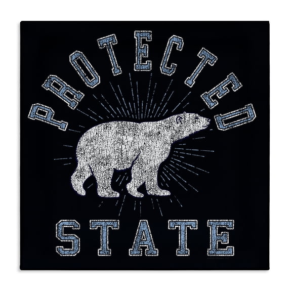 Stupell Industries Eclectic Canvas Art, 24 x 24, by Spirit Animals/Life Is High