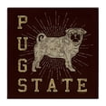 thumbnail image 1 of Stupell Industries Eclectic Canvas Art, 24 x 24, by Spirit Animals/Life Is High, 1 of 8