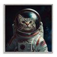 thumbnail image 1 of Stupell Industries Eclectic Catstronaut Cat Astronaut Gray Framed Giclee Art, 24 x 24, by Jim Baldwin, 1 of 8