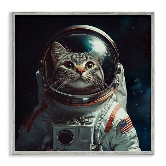 Stupell Industries Eclectic Catstronaut Cat Astronaut Gray Framed Giclee Art, 24 x 24, by Jim Baldwin