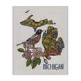 thumbnail image 1 of Stupell Industries Eclectic Detailed Michigan State Robin Bird & Flower Patterns Canvas Art, 30 x 40, by Valentina Harper, 1 of 6