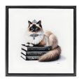 thumbnail image 1 of Stupell Industries Eclectic Elegant Glam Cat & Books Black Floating Frame Canvas Art, 18 x 18, by Amanda Greenwood, 1 of 8