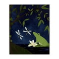 thumbnail image 1 of Stupell Industries Eclectic Frog in Night Forest Canvas Art, 16 x 20, by Michelle Ingari Designs, 1 of 8
