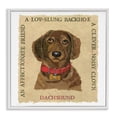 thumbnail image 1 of Stupell Industries Eclectic Fun Dachshund Pet Phrases White Framed Giclee Art, 12 x 12, by Nancy Overton, 1 of 8