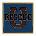 thumbnail image 1 of Stupell Industries Eclectic Gold Floating Frame Canvas Art, 18 x 18, by Spirit Animals/Life Is High, 1 of 8