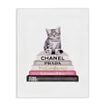 thumbnail image 1 of Stupell Industries Eclectic Grey Pink and Black Fashion Bookstack with Kitten Canvas Art, 16 x 20, by Amanda Greenwood, 1 of 7
