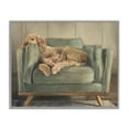 thumbnail image 1 of Stupell Industries Eclectic Labradoodle Lounging on Sofa Gray Framed Giclee Art, 30 x 24, by Ethan Harper, 1 of 7