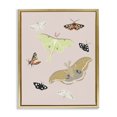 thumbnail image 1 of Stupell Industries Eclectic Moths & Butterflies on Pink Gold Floating Frame Canvas Art, 25 x 31, by Sweet Melody Designs, 1 of 8