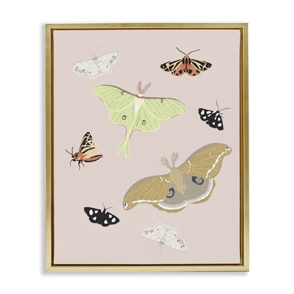 Stupell Industries Eclectic Moths & Butterflies on Pink Gold Floating Frame Canvas Art, 25 x 31, by Sweet Melody Designs