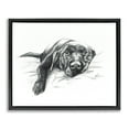thumbnail image 1 of Stupell Industries Eclectic Naptime Black Labrador Black Floating Frame Canvas Art, 21 x 17, by Lindsay Kivi Fine Art, 1 of 8