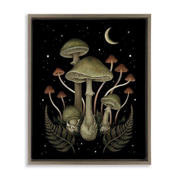 Stupell Industries Eclectic Night Mushrooms & Ferns Brown Floating Frame Canvas Art, 17 x 21, by Episodic Drawings