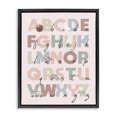 thumbnail image 1 of Stupell Industries Eclectic Pink Pastel Alphabet Chart Black Floating Frame Canvas Art, 17 x 21, by Lil' Rue, 1 of 8