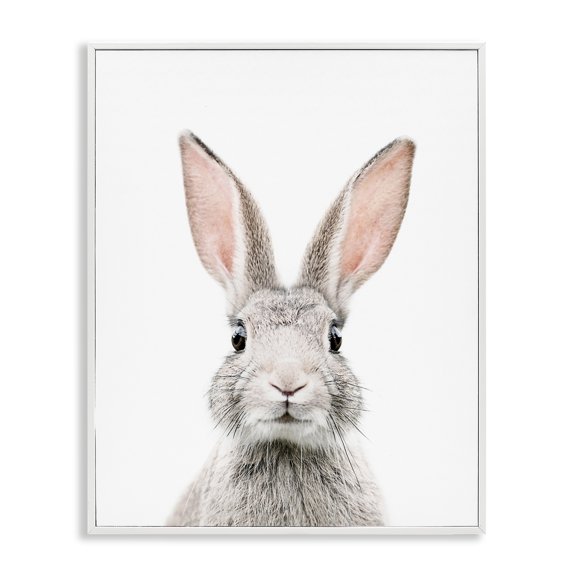 Stupell Industries Eclectic Rabbit Face Portrait White Framed Giclee Art, 24 x 30, by Sisi and Seb