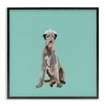 thumbnail image 1 of Stupell Industries Eclectic Regal Dog in Crown Black Framed Giclee Art, 24 x 24, by Amelia Noyes, 1 of 8