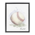 thumbnail image 1 of Stupell Industries Eclectic Soft Pastel Baseball Black Floating Frame Canvas Art, 17 x 21, by Matthew Piotrowicz, 1 of 7