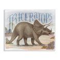 thumbnail image 1 of Stupell Industries Eclectic Triceratops in Nature Canvas Art, 20 x 16, by Raquel Maciel, 1 of 8