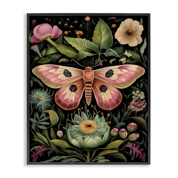 Stupell Industries Eclectic Vintage Botanical Moth Black Framed Giclee Art, 11 x 14, by The Dutch Lady