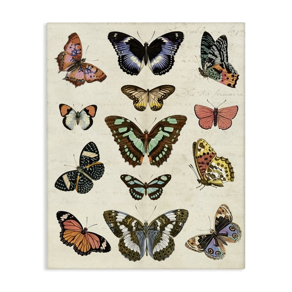 Stupell Industries Eclectic Vintage Butterfly Breeds Canvas Art, 36 x 48, by Susan Arnot
