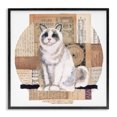 thumbnail image 1 of Stupell Industries Eclectic Vintage Collage Cat Black Framed Giclee Art, 12 x 12, by Nancy Overton, 1 of 8