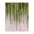 thumbnail image 1 of Stupell Industries Eclectic Willow Leaves on Pink Canvas Art, 16 x 20, by Grace Popp, 1 of 8
