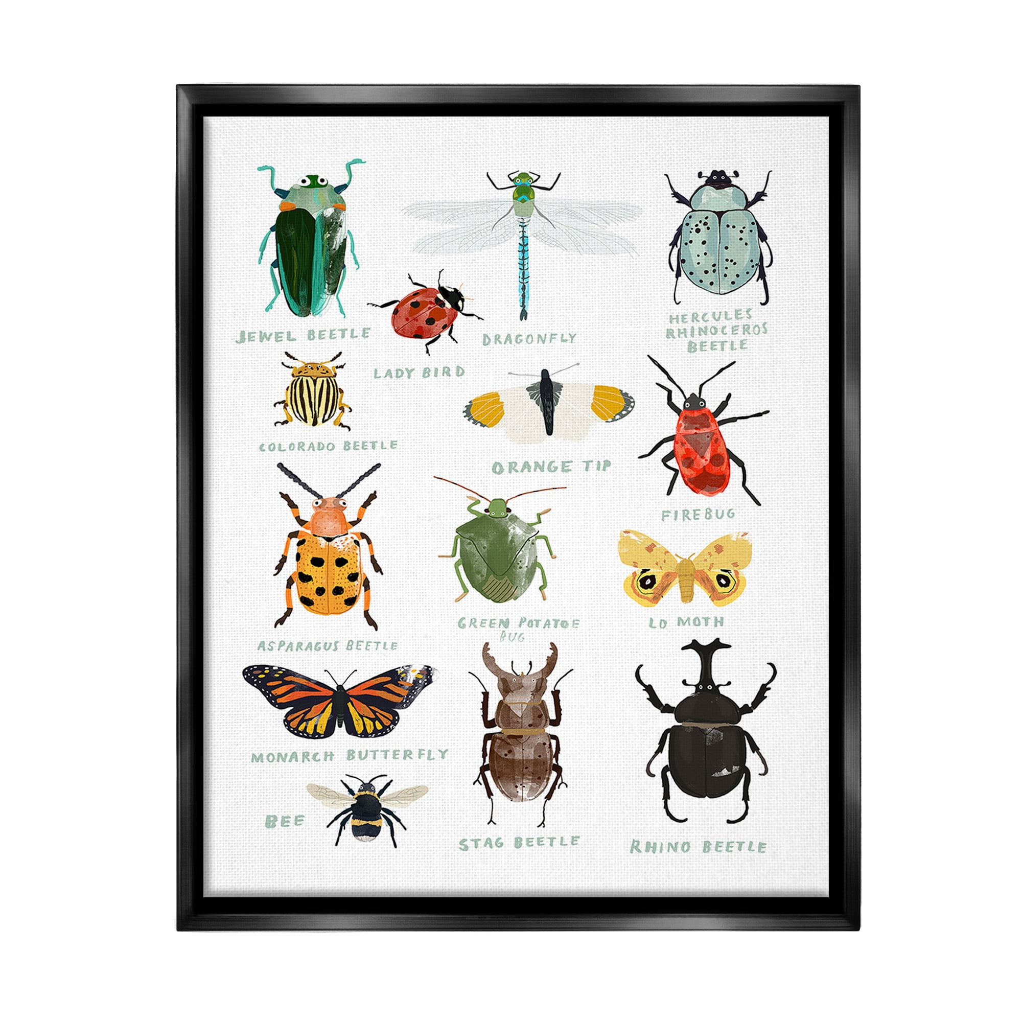 Stupell Industries Educational Bug Types Animals & Insects Painting Black Floater Framed Canvas Art Print Wall Art, 17 x 21