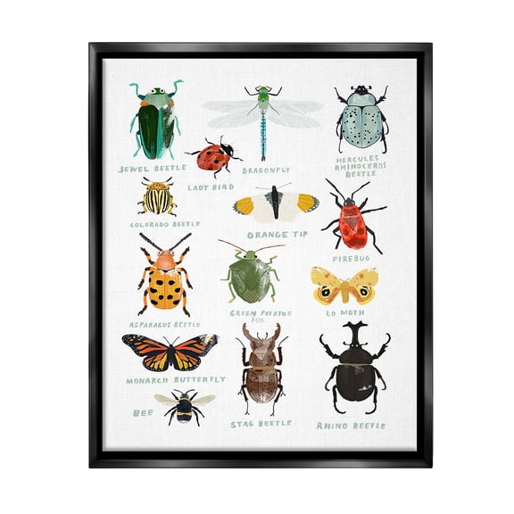 Stupell Industries Educational Bug Types Animals & Insects Painting Black Floater Framed Canvas Art Print Wall Art, 17 x 21