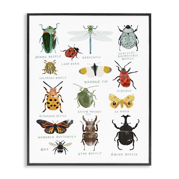 Stupell Industries Eclectic Educational Bug Types Black Framed Giclee Art, 11 x 14, by Hanna Melin
