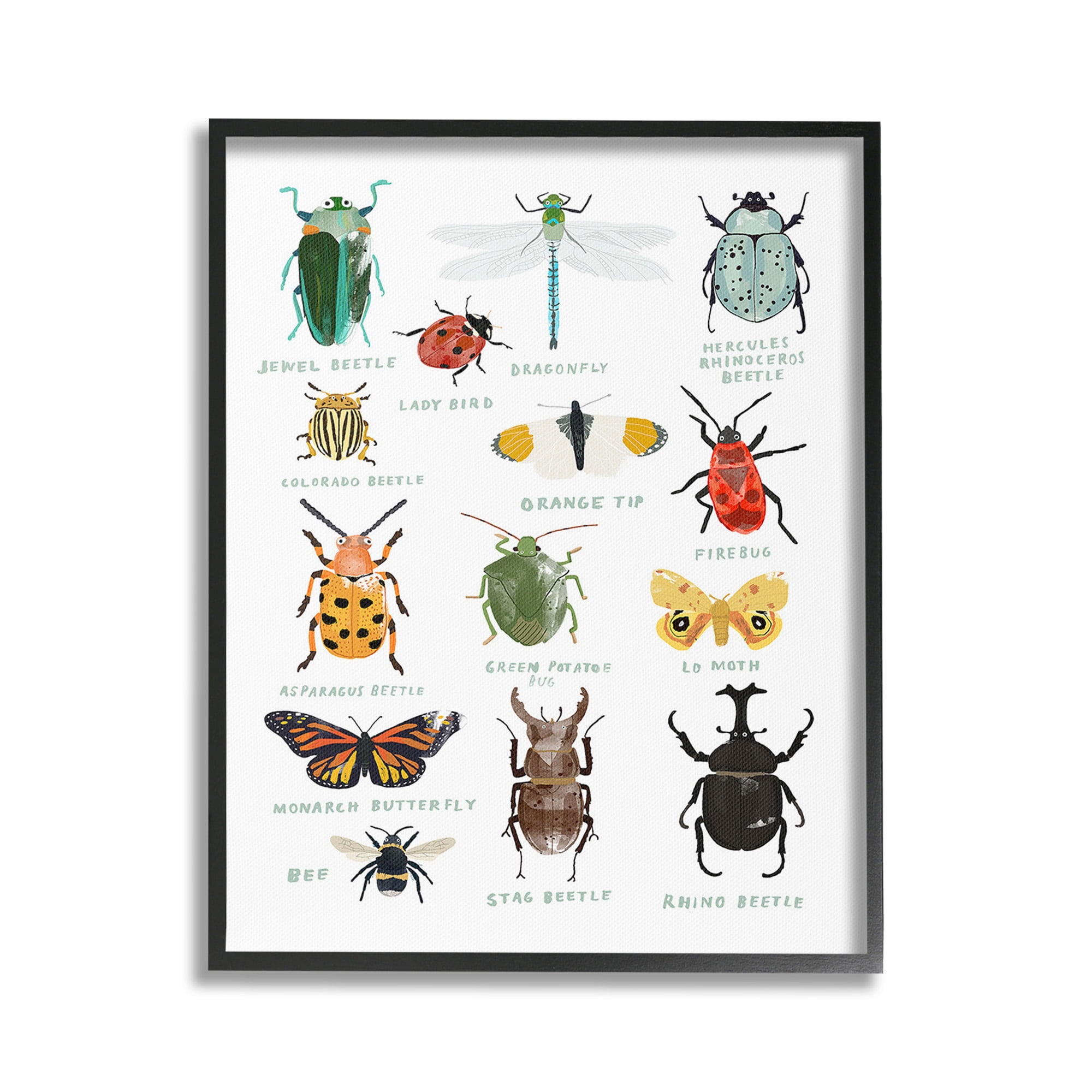 Stupell Industries Educational Bug Types Animals & Insects Painting Black Framed Art Print Wall Art, 16 x 20