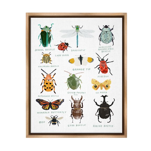 Stupell Industries Educational Bug Types Animals & Insects Painting Brown Floater Framed Canvas Art Print Wall Art, 25 x 31