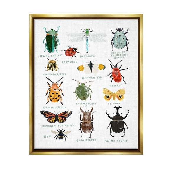 Stupell Industries Educational Bug Types Animals & Insects Painting Gold Floater Framed Canvas Art Print Wall Art, 17 x 21