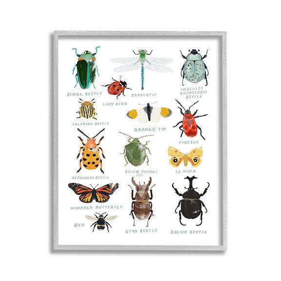 Stupell Industries Educational Bug Types Animals & Insects Painting Gray Framed Art Print Wall Art, 11 x 14