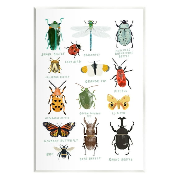 Stupell Industries Educational Bug Types Animals & Insects Painting Unframed Art Print Wall Art, 10 x 15
