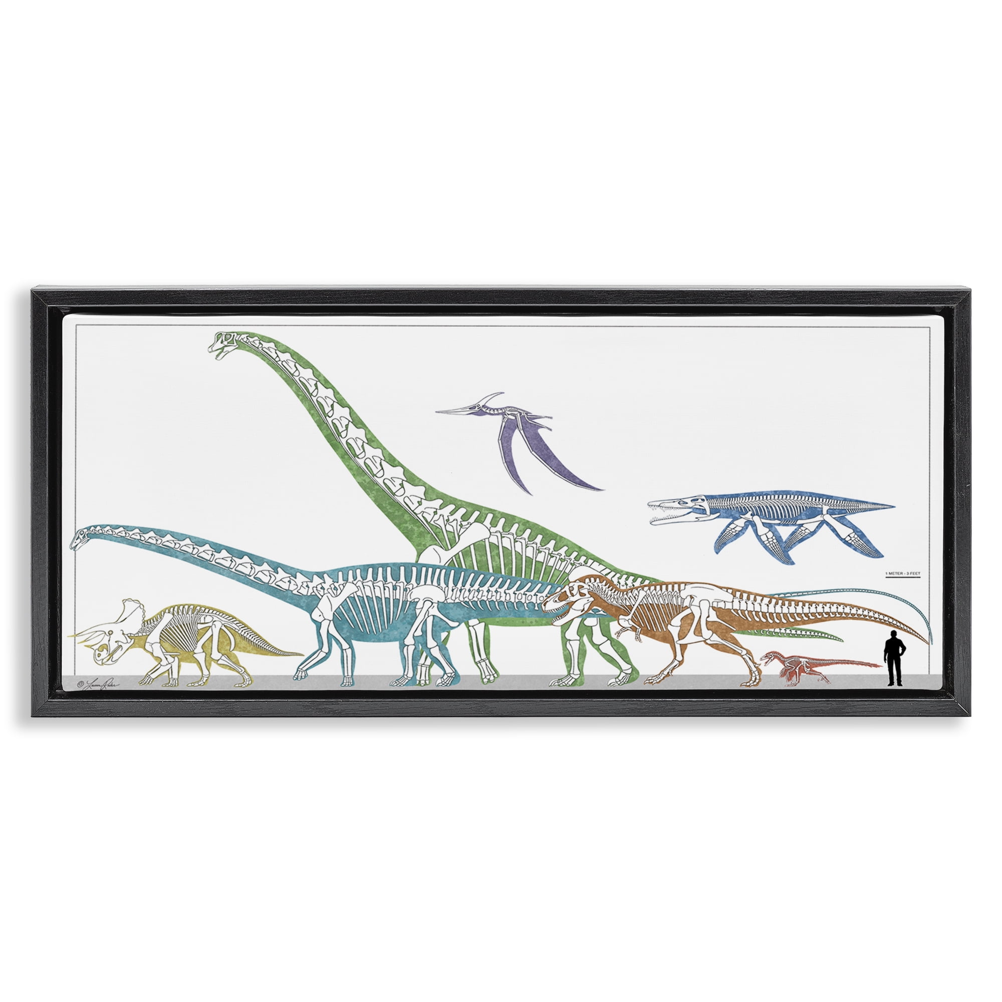 Stupell Industries Educational Prehistoric Skeletons Animals Painting Black Floater Framed Canvas Art Print Wall Art, 25 x 11