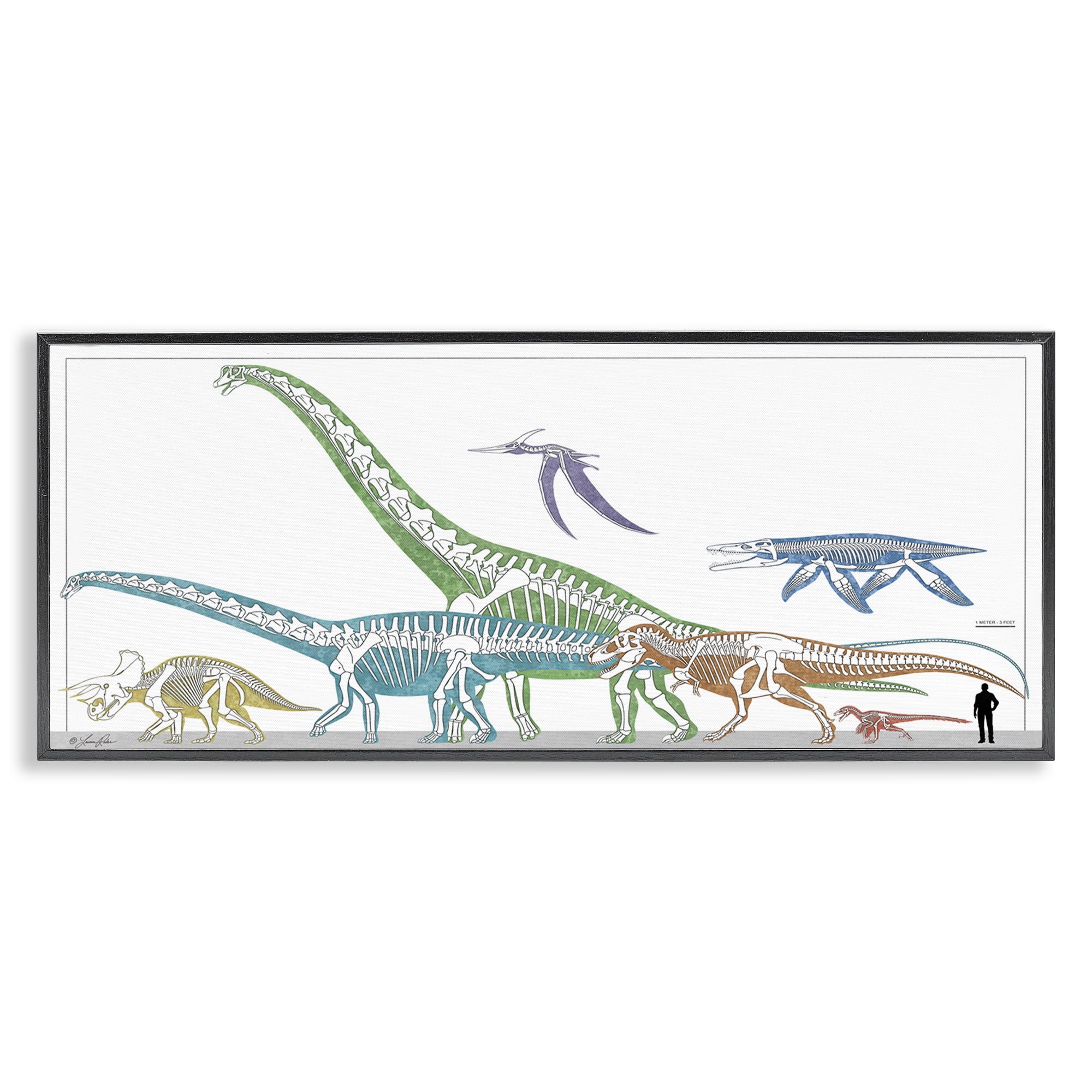 Stupell Industries Educational Prehistoric Skeletons Animals Painting Black Framed Art Print Wall Art, 30 x 13