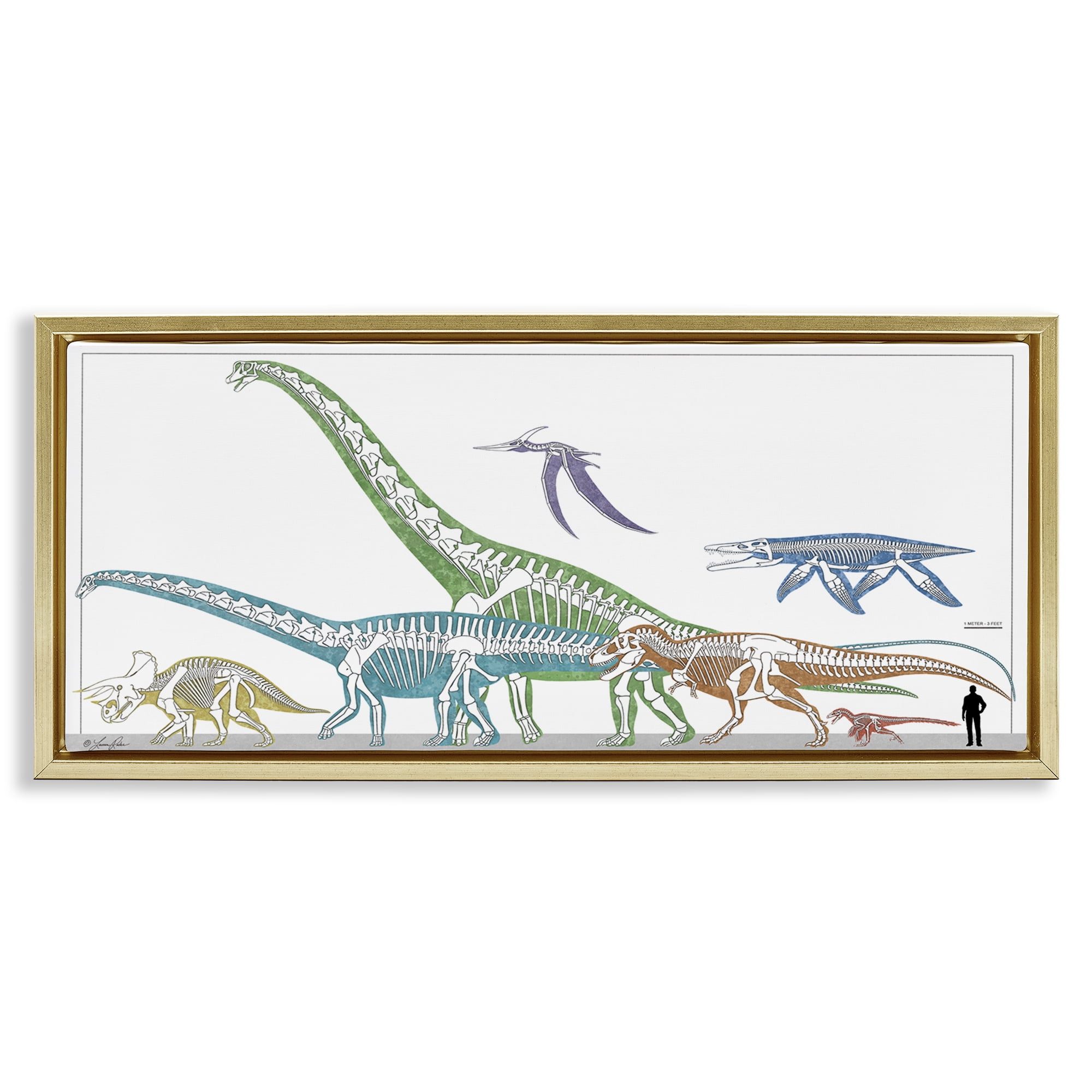 Stupell Industries Educational Prehistoric Skeletons Animals Painting Gold Floater Framed Canvas Art Print Wall Art, 25 x 11