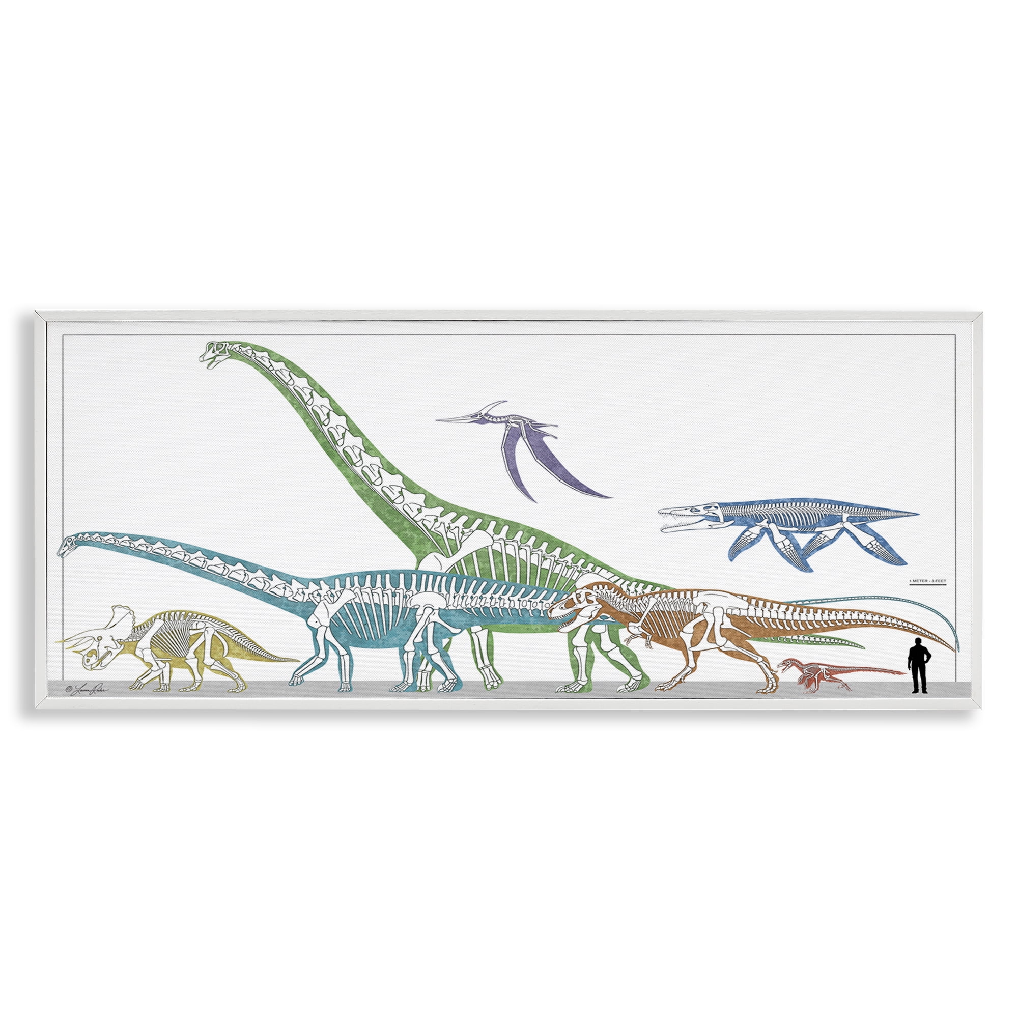 Stupell Industries Educational Prehistoric Skeletons Animals Painting White Framed Art Print Wall Art, 24 x 10