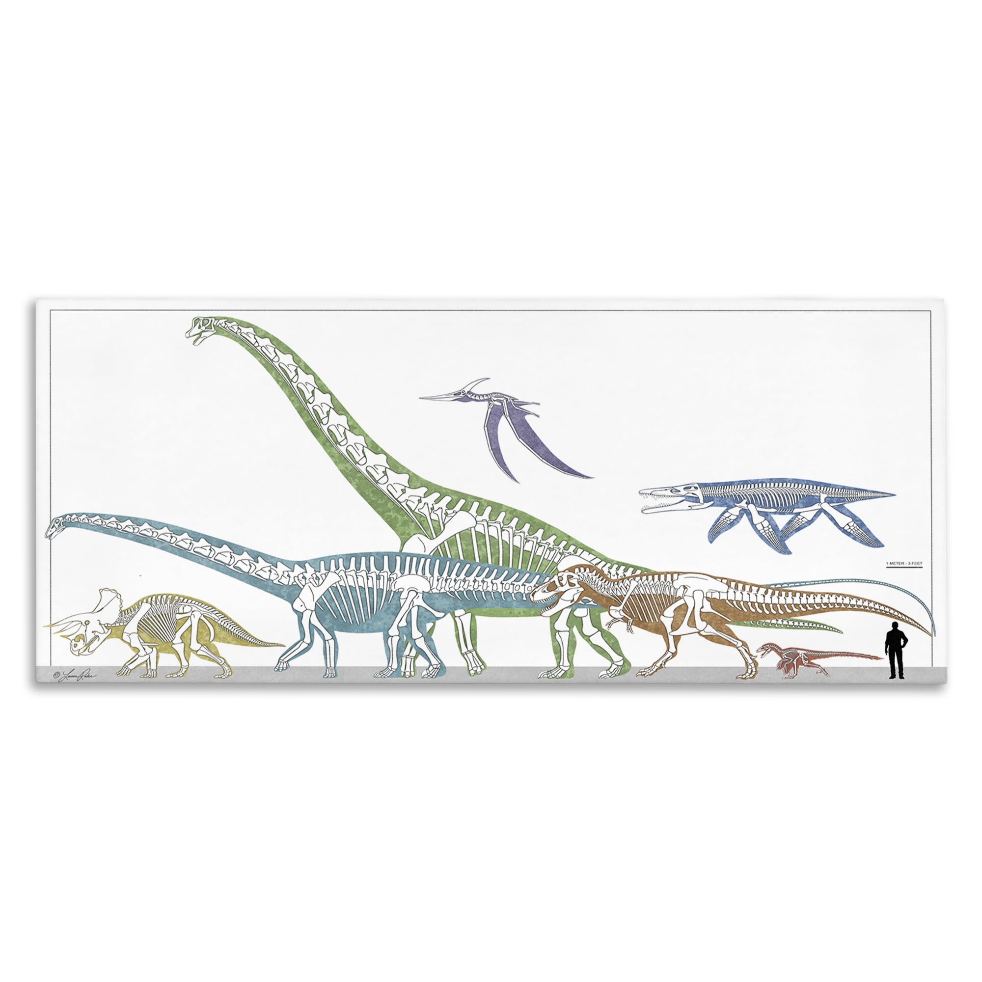 Stupell Industries Educational Prehistoric Skeletons Animals Painting Wrapped Canvas Art Print Wall Art, 48 x 20