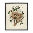 thumbnail image 1 of Stupell Industries Cottage Eggs in Birdnest Study Black Floating Frame Canvas Art, 17 x 21, by Tina Higgins Designs Inc., 1 of 8