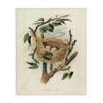 thumbnail image 1 of Stupell Industries Cottage Eggs in Birdnest Study Canvas Art, 16 x 20, by Tina Higgins Designs Inc., 1 of 8