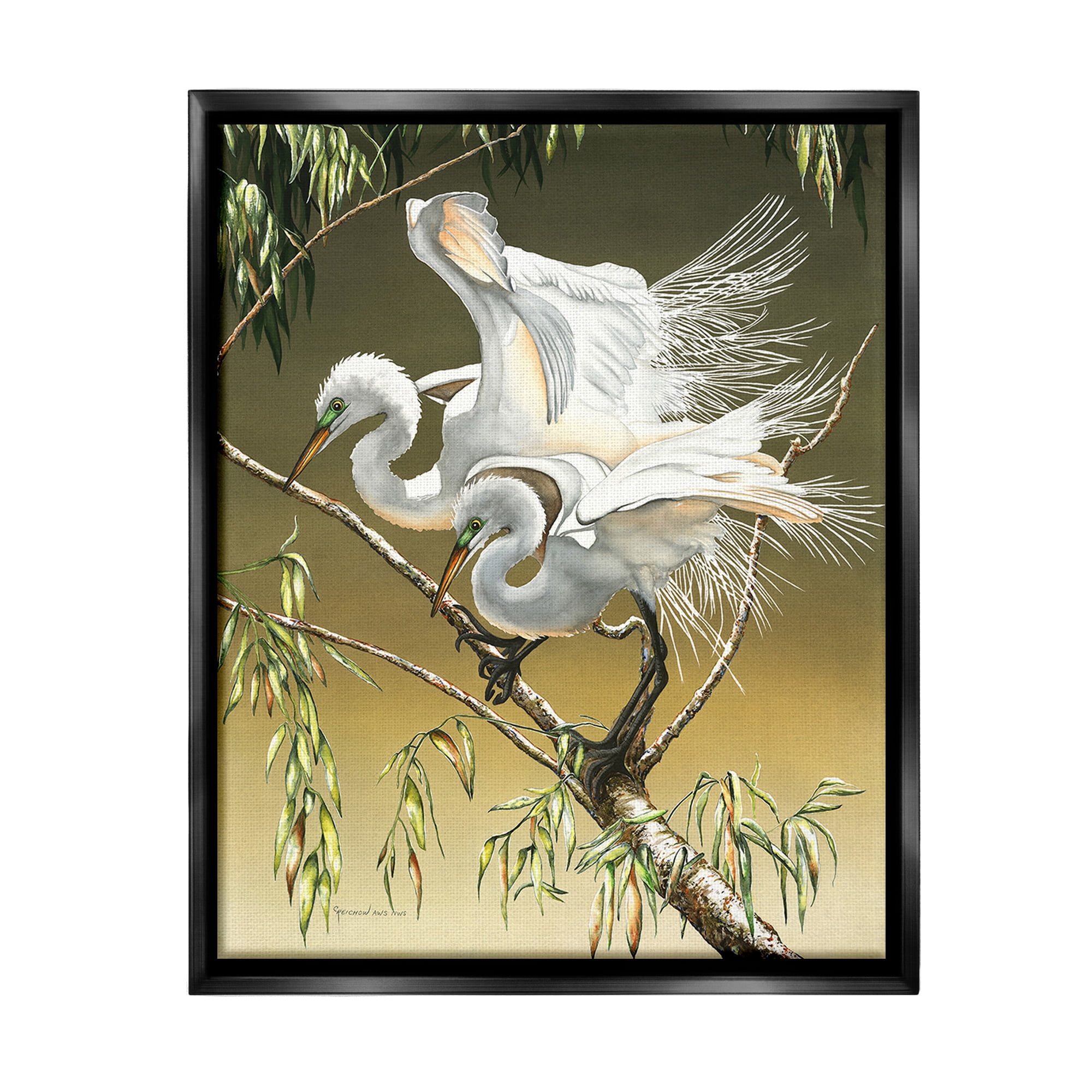 Stupell Industries Egrets Perched on Branch Animals & Insects Painting Black Floater Framed Canvas Art Print Wall Art, 25 x 31