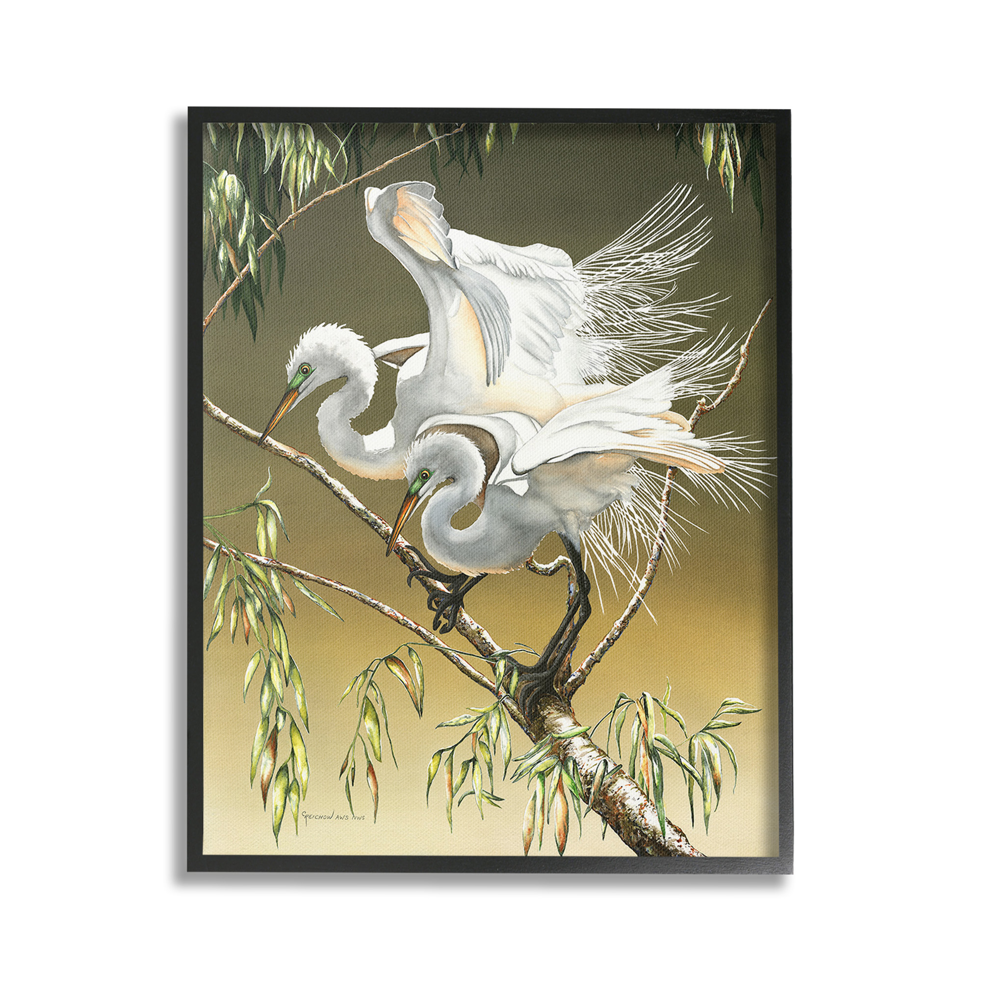 Stupell Industries Egrets Perched on Branch Animals & Insects Painting Black Framed Art Print Wall Art, 16 x 20
