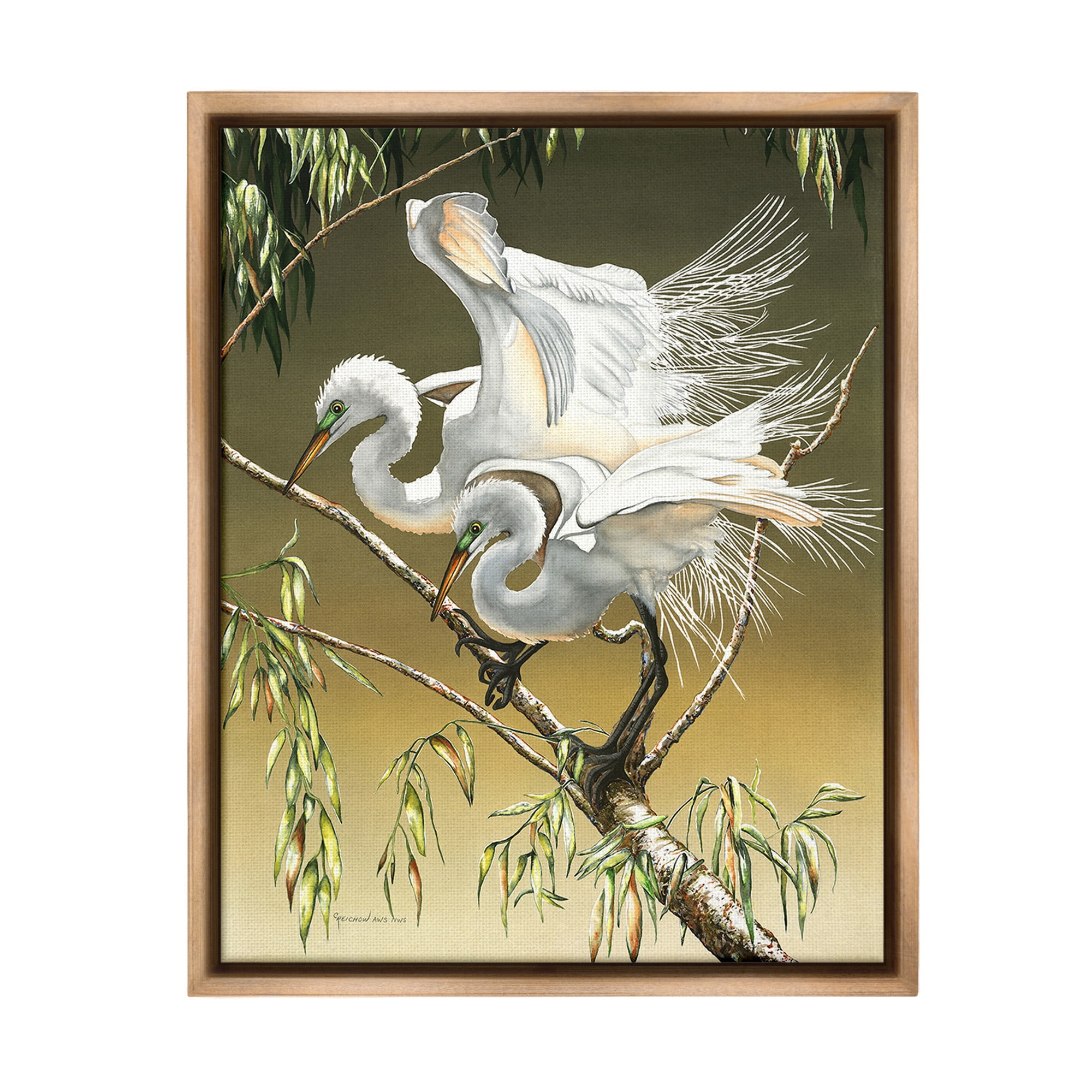 Stupell Industries Egrets Perched on Branch Animals & Insects Painting Brown Floater Framed Canvas Art Print Wall Art, 17 x 21