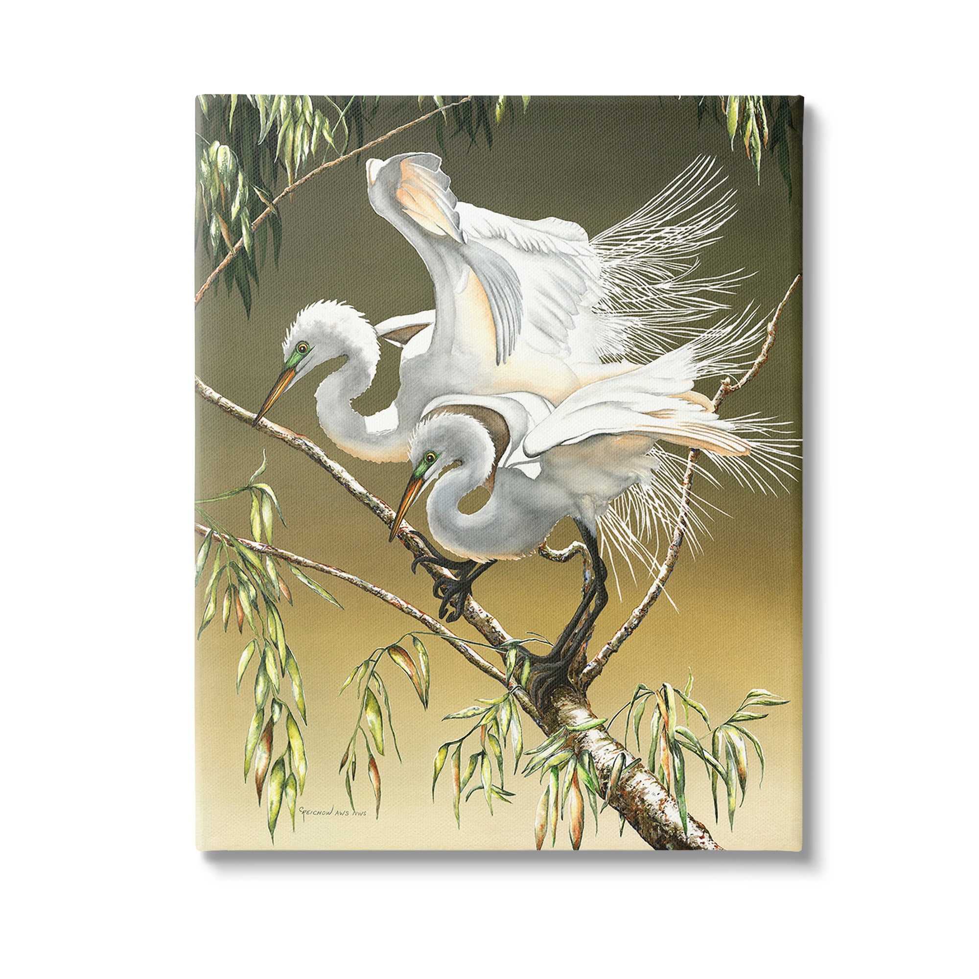 Stupell Industries Egrets Perched on Branch Animals & Insects Painting Gallery Wrapped Canvas Art Print Wall Art, 36 x 48