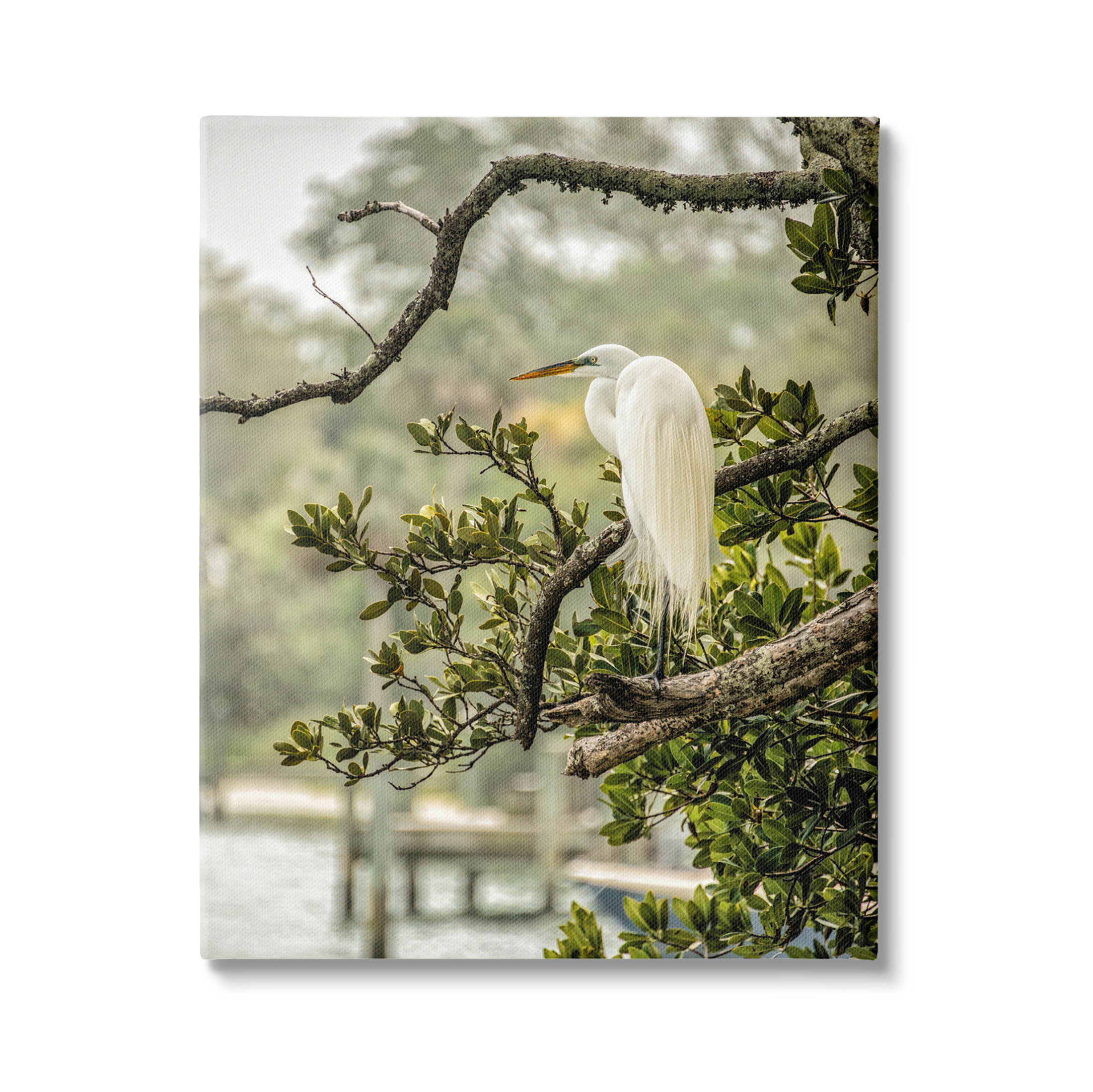 Stupell Industries Elegant Bird Perched Lakeside Tree Photograph Gallery Wrapped Canvas Print Wall Art, Design by Mary Lou Photography