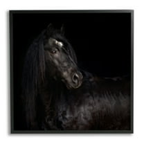 Stupell Industries Elegant Black Stallion Animals & Insects Photography Black Framed Art Print Wall Art, 12 x 12