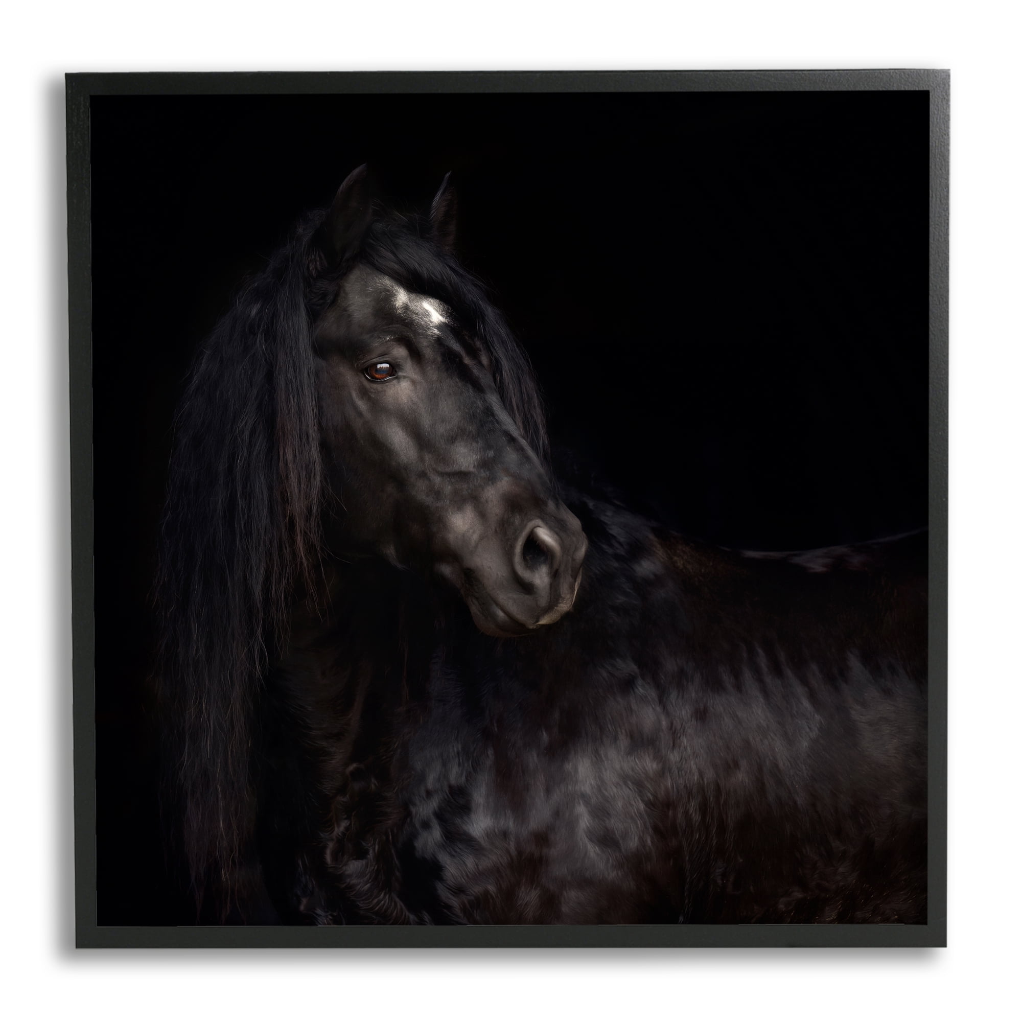 Stupell Industries Elegant Black Stallion Animals & Insects Photography Black Framed Art Print Wall Art, 17 x 17